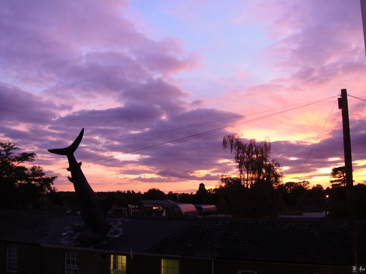 ello-optimized-1d2cf85e